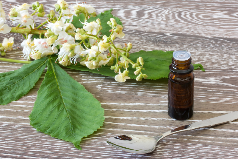 טיפול טבעי ברגש עם נועה לוי ופרחי באך